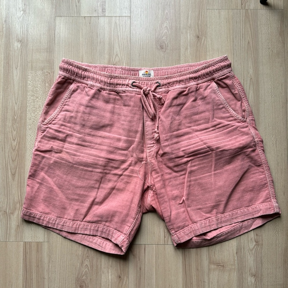 Marine Layer Shorts
